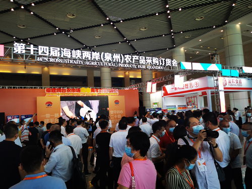 第十四届海峡两岸 泉州 农产品采购订货会今日开幕